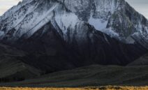 {{brizy_dc_image_alt entityId=